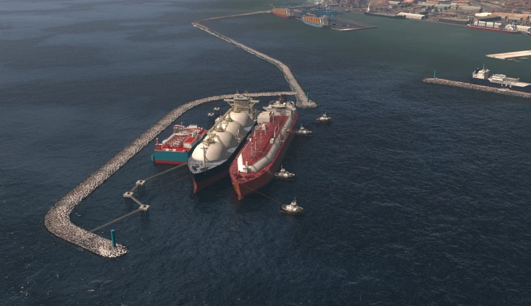 Tema Port Expansion - Image 6