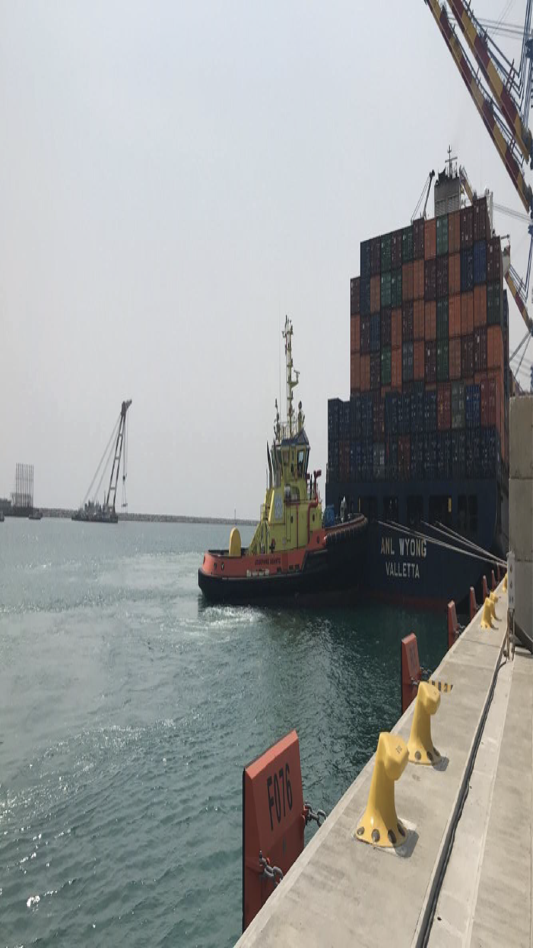 Tema Port Expansion - Image 2